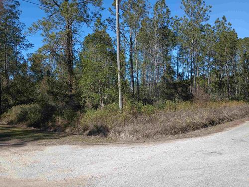 10575 Amos Ave, Hastings, FL, 32145-0000 | Card Image