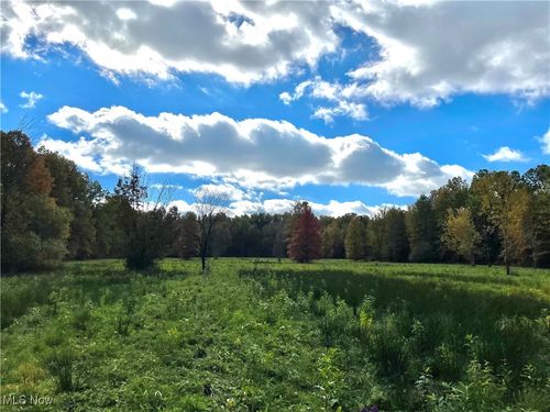 VL Parsons Road, Grafton, OH, 44044 | Card Image