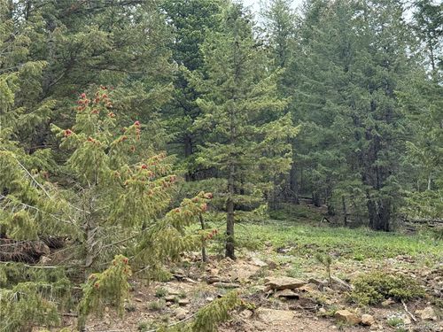 1700 Dory Hill Rd, Black Hawk, CO, 80422 | Card Image