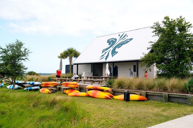 coastalexpeditions | Image 6