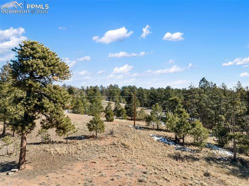 530 Columbine Rd, Florissant, CO, 80816-8884 | Card Image