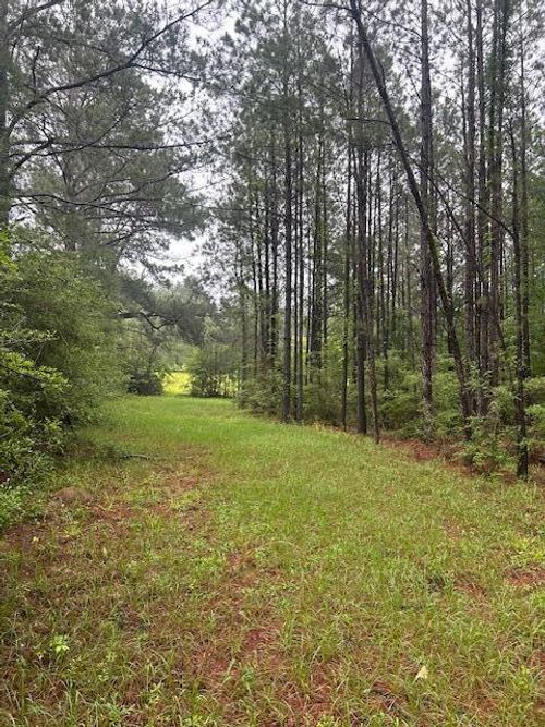 00 Forbes Rd, Sandy Hook, MS, 39478 | Card Image