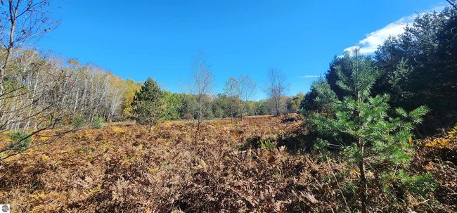 40 Acres Truesdale Road, Home with 0 bedrooms, 0 bathrooms and null parking in Manton MI | Image 12