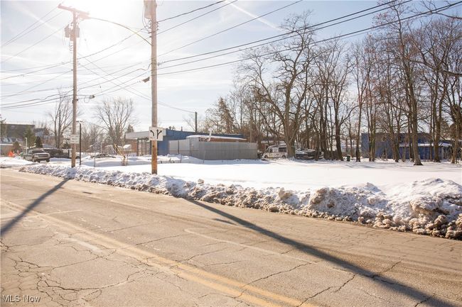 View of yard layered in snow | Image 19