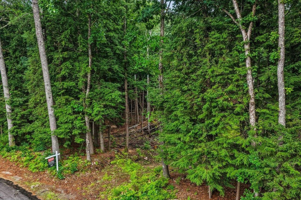 Land in Webster 4
