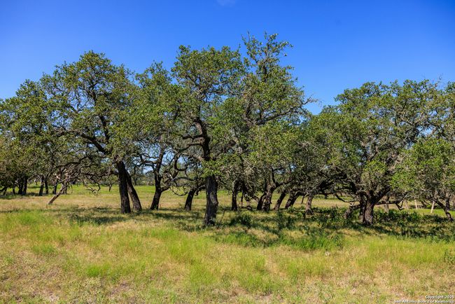 2250 Otte Rd, Home with 2 bedrooms, 2 bathrooms and null parking in Stonewall TX | Image 28