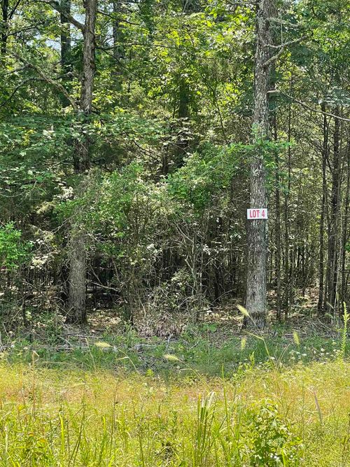 Lot 4 Pleasant Ridge Rd, Greers Ferry, AR, 72067-8929 | Card Image