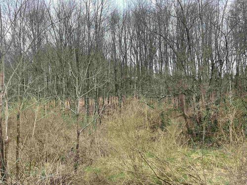 TBD Glassworks Rd, Buckhannon, WV, 26201 | Card Image