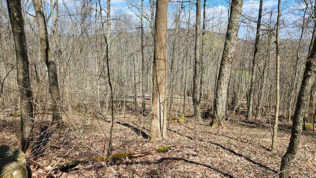 TRACT-1-PIKE-LAKE-GETAWA - 0 Pike Lake Rd, Home with 0 bedrooms, 0 bathrooms and null parking in Bainbridge OH | Image 42