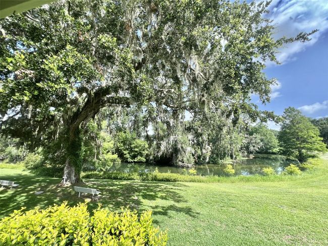 105 Avocado Cv, House other with 2 bedrooms, 2 bathrooms and null parking in LEESBURG FL | Image 13