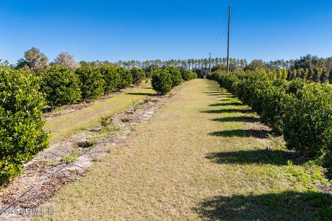 16385 Nw 112 Th Ct, House other with 2 bedrooms, 2 bathrooms and null parking in Reddick FL | Image 24