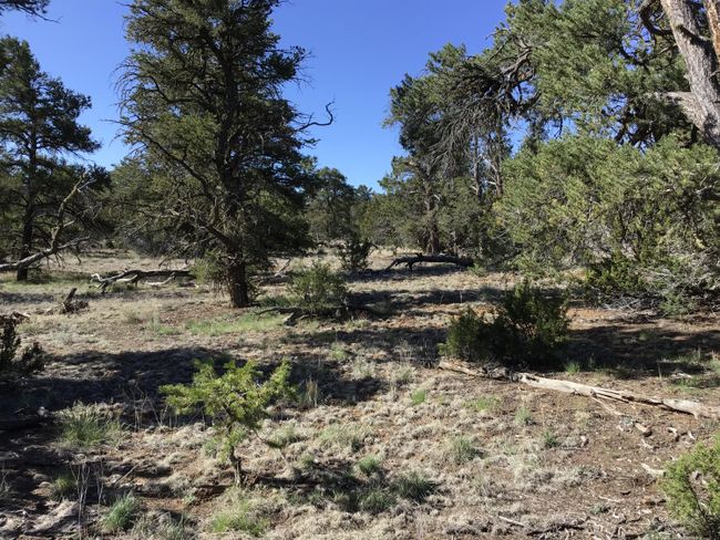 Lot 7 Red Fox Road, Home with 0 bedrooms, 0 bathrooms and null parking in Ramah NM | Image 19
