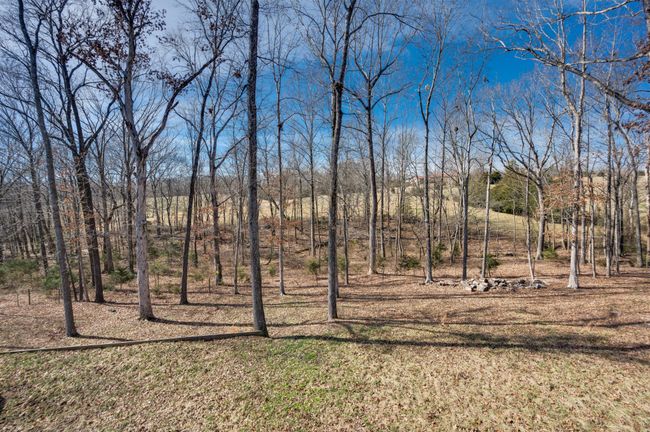 Back yard. | Image 67