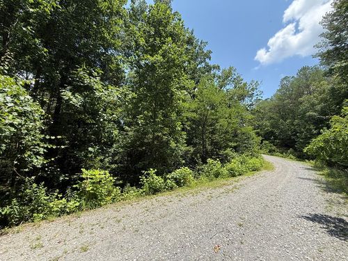 Lot E9 Reece Mountain Road, Ellijay, GA, 30536 | Card Image