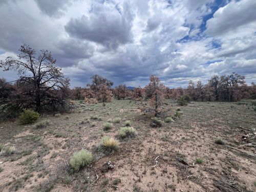 LOT 57 Fountain Hills Rd, Quemado, NM, 87829-0107 | Card Image