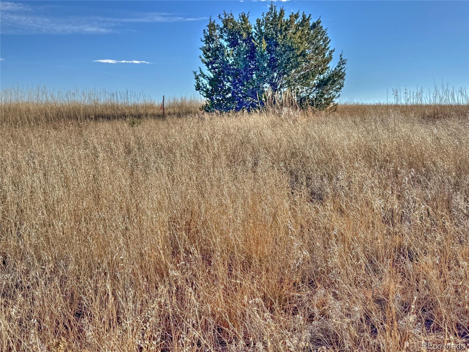 Land in Colorado City 3