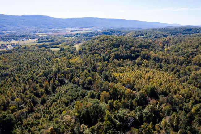 61243 Stone Cave Loop, Home with 0 bedrooms, 0 bathrooms and null parking in Dunlap TN | Image 10