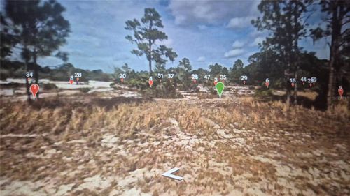 547 Branchwood Ave, LAKE PLACID, FL, 33852 | Card Image