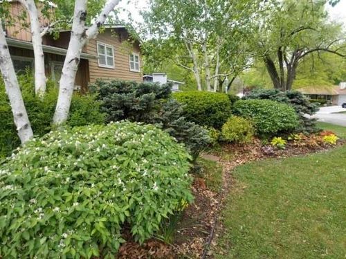 2101 Ne 62nd St, Kansas City, MO, 64118-5009 | Card Image