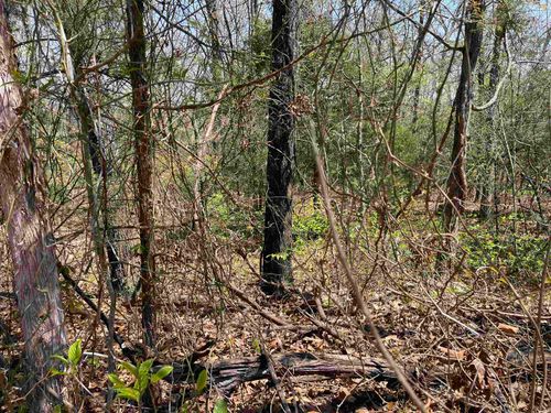 1305 Indiana Ave, Horseshoe Bend, AR, 72512 | Card Image