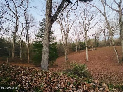 141 N Eagle Ridge Dr, Florence, MS, 39073-8329 | Card Image