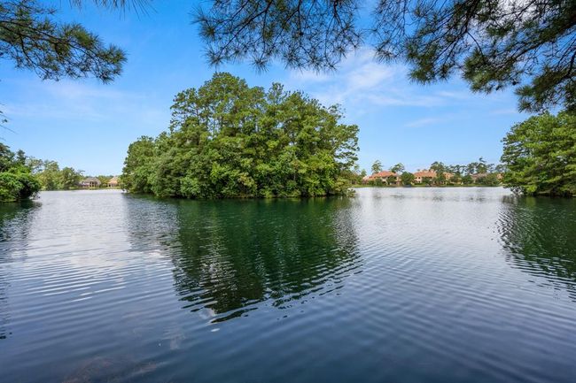 There are 11 lakes and several ponds to enjoy fishing in the Catch & Release lakes, residents are encouraged to be cognizant of the ducks, turtles and other little critters that call these waters home. | Image 47
