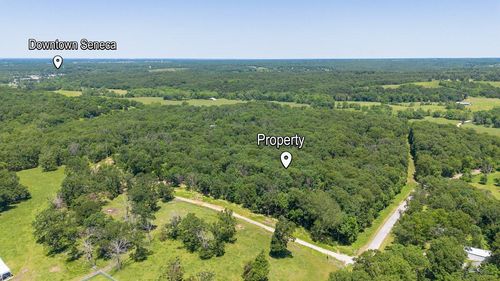 103 Penelope Ln, Seneca, MO, 64865-6010 | Card Image
