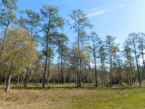 hwy-421-9245 Bear Creek Drive, Kountze, TX, 77625 | Card Image