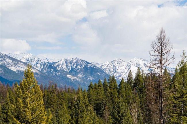 Before the spring bloom | Image 16