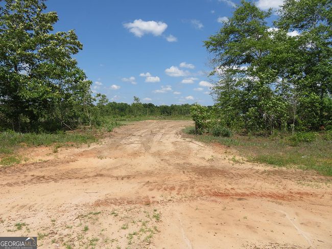 1 Goolsby Rd, Home with 0 bedrooms, 0 bathrooms and null parking in Ellaville GA | Image 7