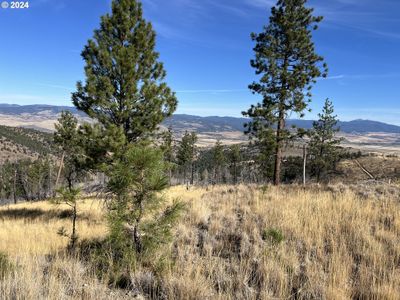 25422 Baldy Mountain Rd, Home with 0 bedrooms, 0 bathrooms and null parking in JohnDay OR | Image 1