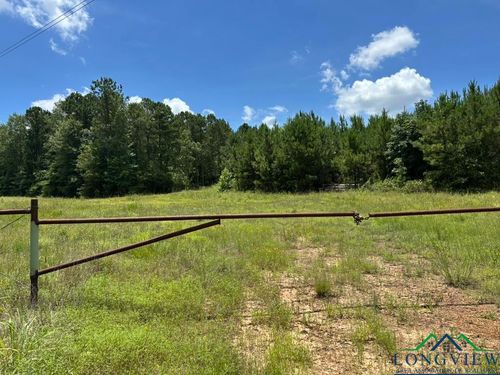 TBD Eagleton Road, Harleton, TX, 75651 | Card Image