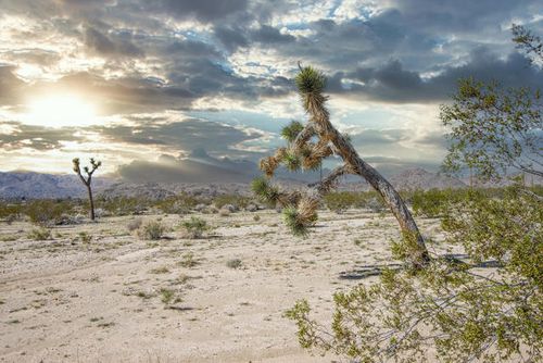 4605 Border Ave, Joshua Tree, CA, 92252 | Card Image