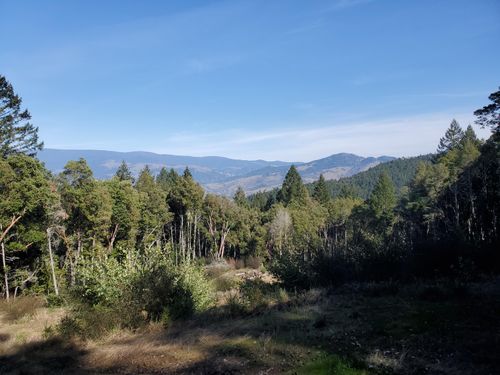 700 Rancho Sequoia Dr, Alderpoint, CA, 95511 | Card Image