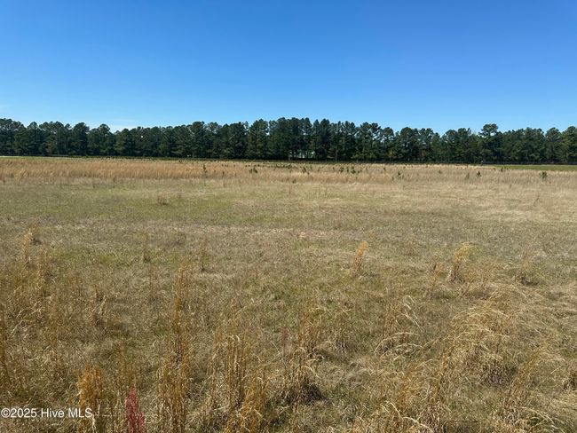 7 Winning Ways Lane, Home with 0 bedrooms, 0 bathrooms and null parking in Aberdeen NC | Image 11