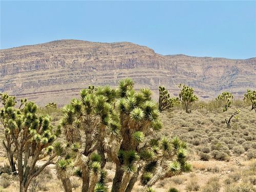 26681 N Yucca Rd, Meadview, AZ, 86444 | Card Image