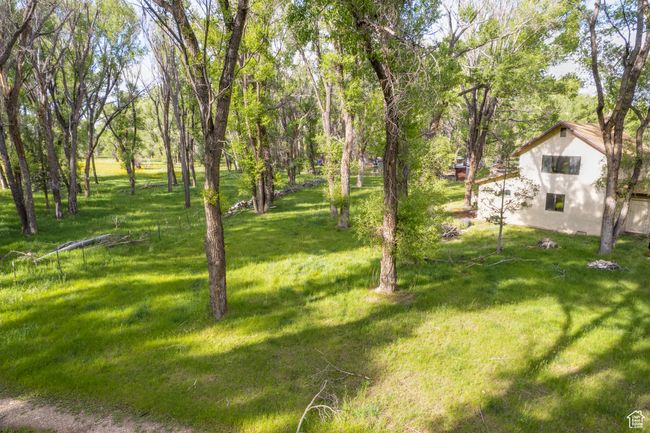 View of green lawn | Image 12
