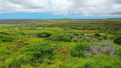 lot-55-0 Kalua Koi Rd, Maunaloa, HI, 96770 | Card Image