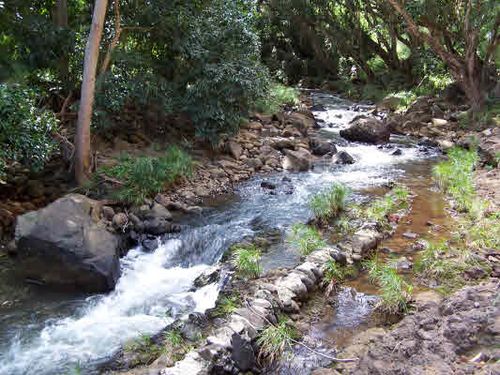 201 Anahola Rd, Anahola, HI, 96703 | Card Image