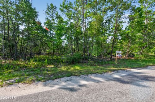 3 Guava Pass, Ocklawaha, FL, 32179 | Card Image
