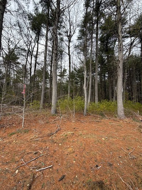 0 Pine St, Raynham, MA, 02767 | Card Image