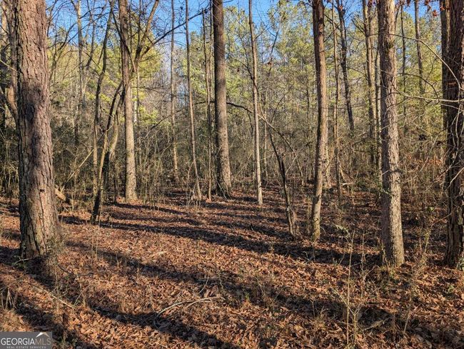 0 Ridgeway Rd, Home with 0 bedrooms, 0 bathrooms and null parking in Trion GA | Image 29