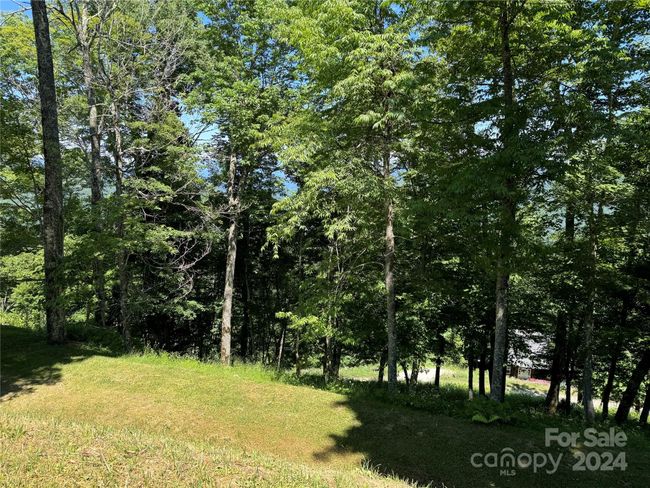 931 - 931 Upper Lookout Dr, Home with 0 bedrooms, 0 bathrooms and null parking in Mars Hill NC | Image 7
