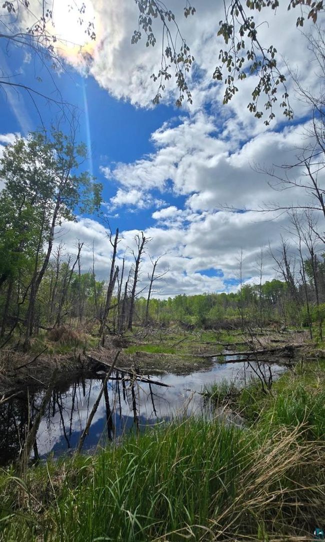 9790 S State Road 35, Home with 0 bedrooms, 0 bathrooms and null parking in FOXBORO WI | Image 7