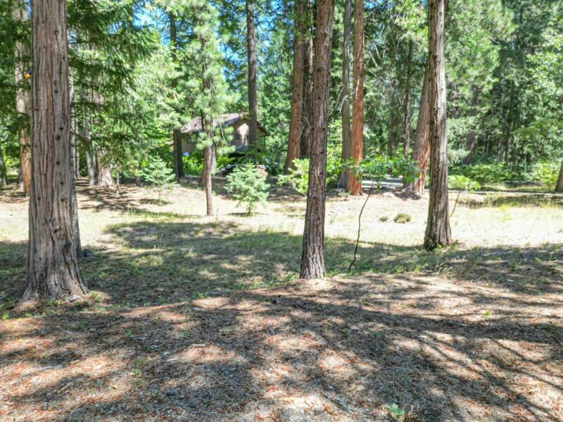 Land in Mount Shasta 5