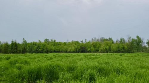 Lt1 Seven Corners Road, New Holstein, WI, 53061 | Card Image