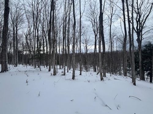 00 Kilkenny Ln, Ellsworth, MI, 49729 | Card Image