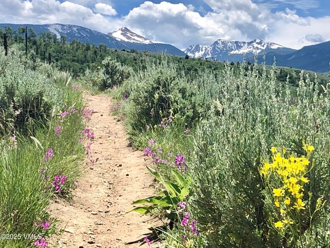Homestead Open Space Trail | Image 44