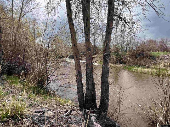 664 Evergreen Dr, House attached with 3 bedrooms, 2 bathrooms and null parking in Mountain View WY | Image 15