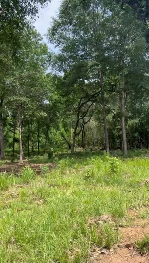 16414 Old Coach Rd, Stagecoach, TX, 77355-2918 | Card Image